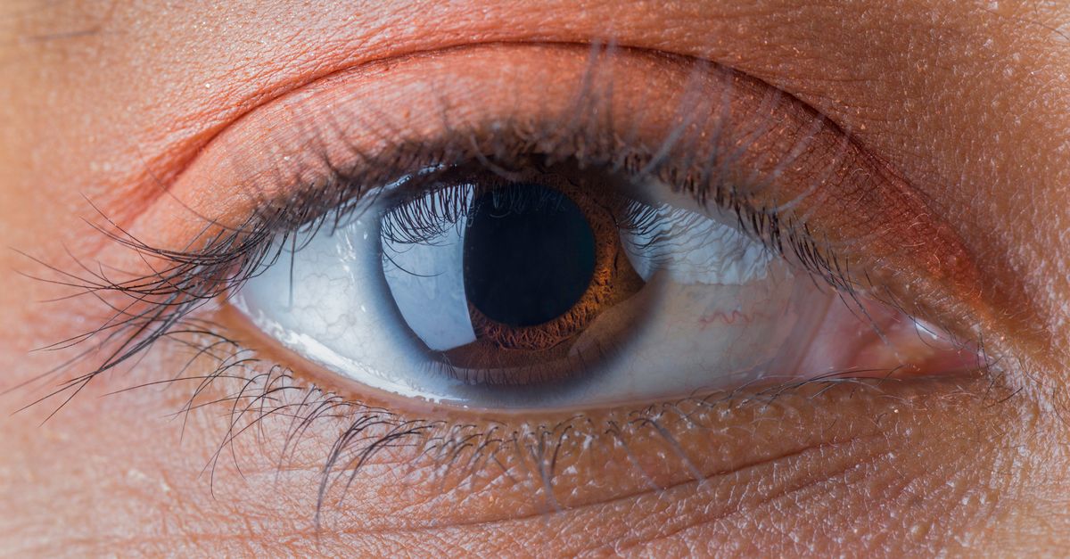 AIIMS Expands Cornea Retrieval Network with Three New Hospitals