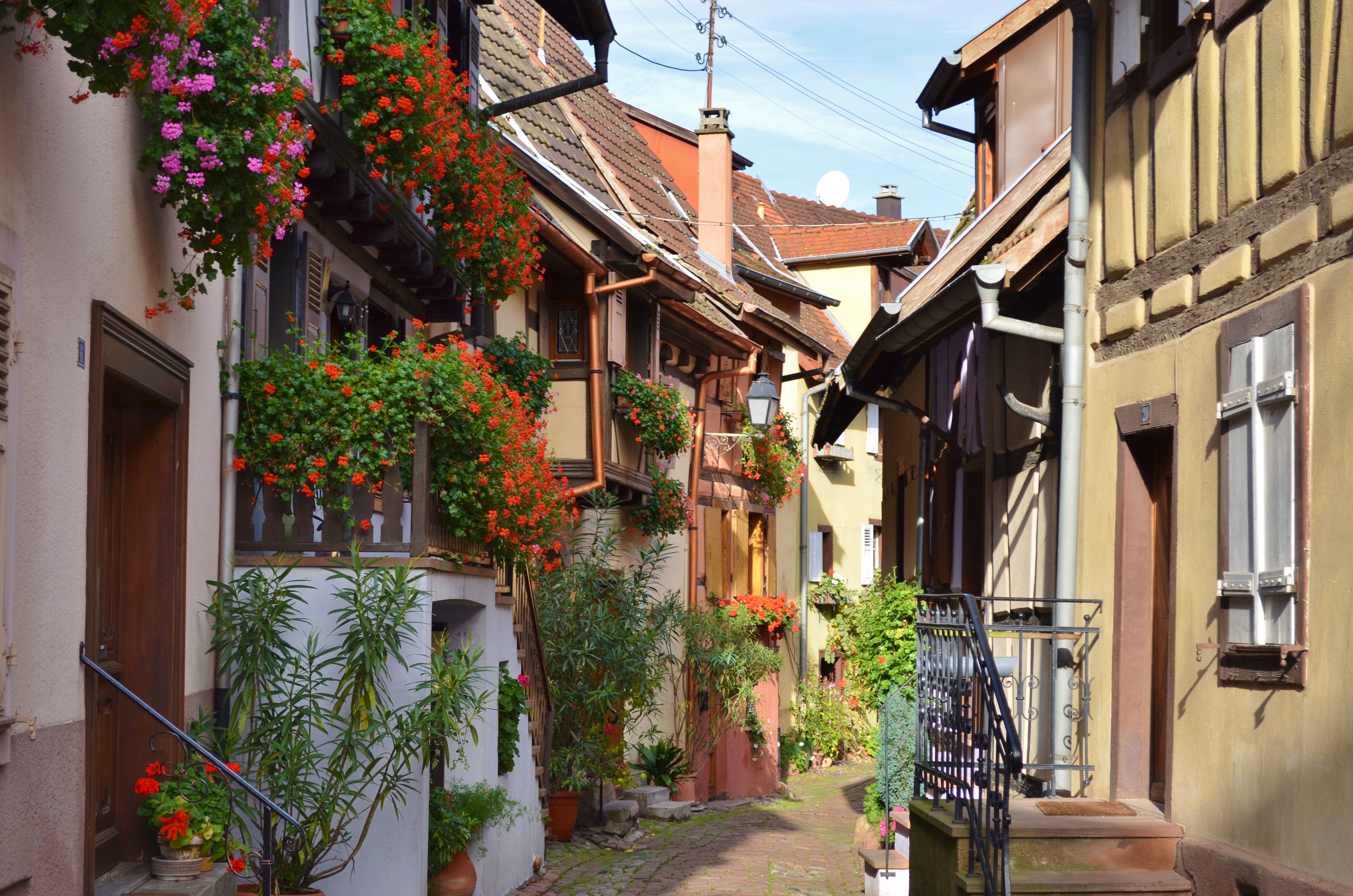 Top 5 cele mai pitorești sate din Alsacia: Eguisheim, Riquewihr și altele