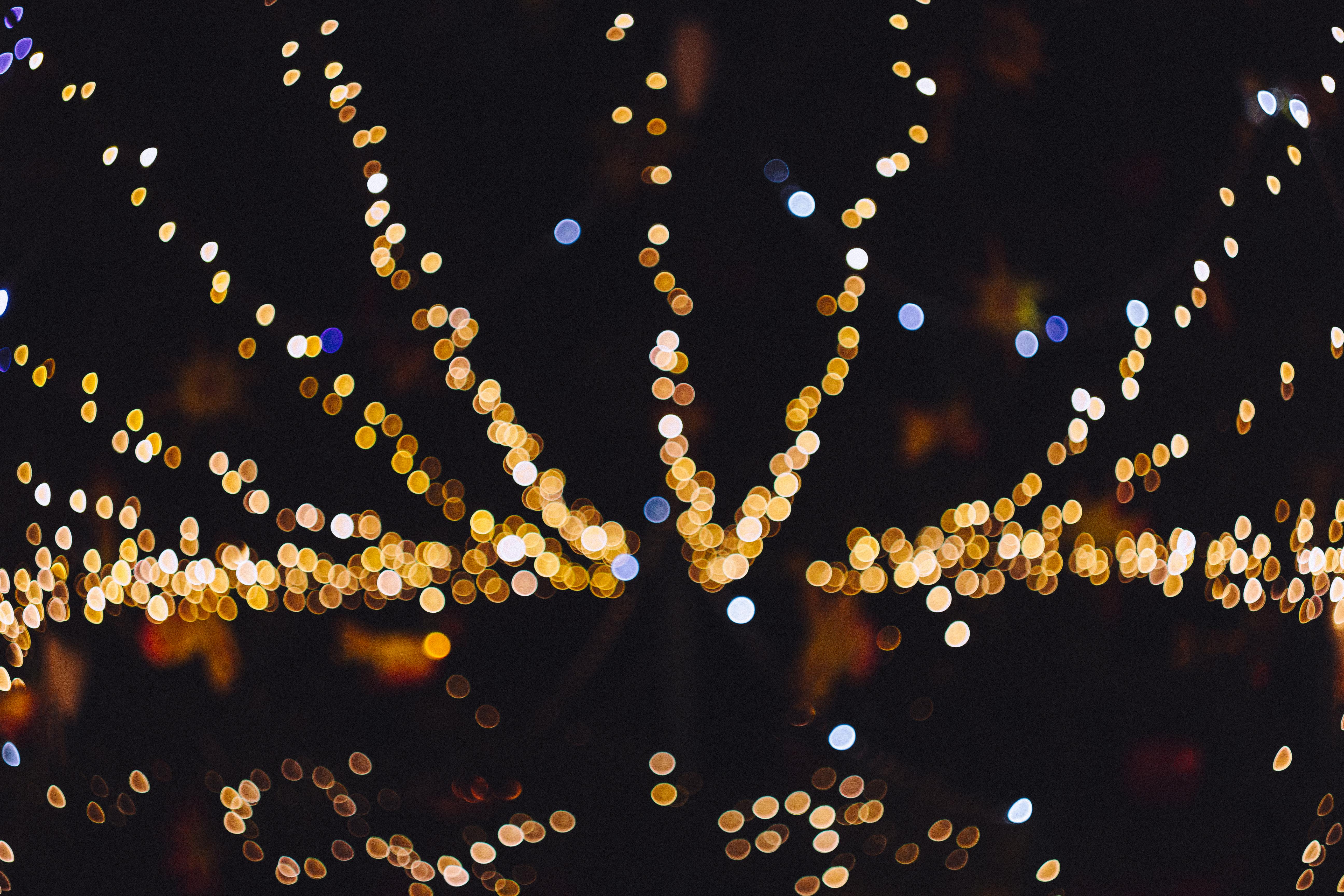 Free stock photo of bulbs, christmas lights, shadows