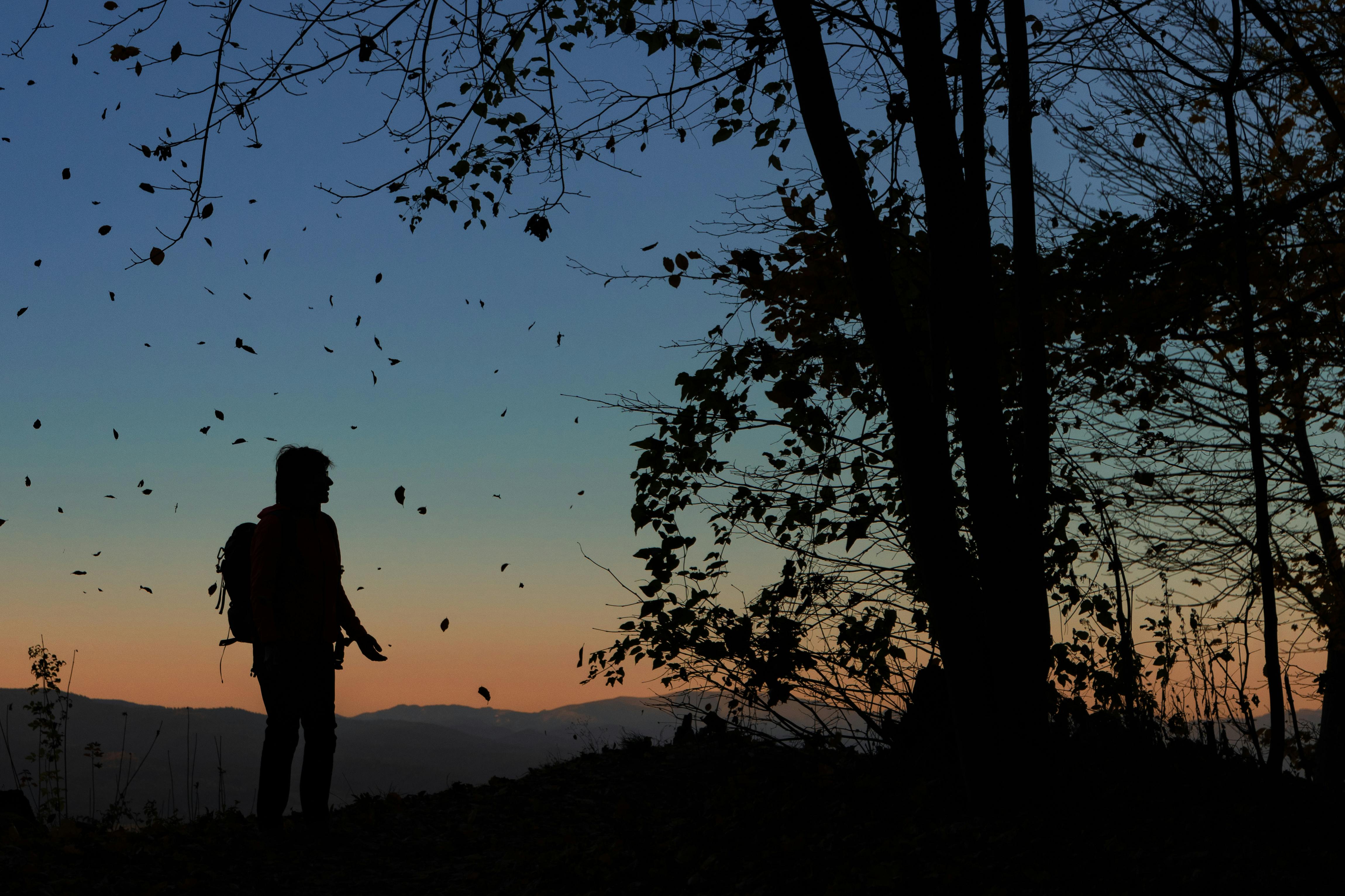 Foraging when tired, rushed, or losing daylight
