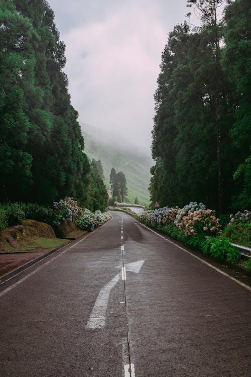 Základová fotografie zdarma na téma asfalt, Azory, cestování