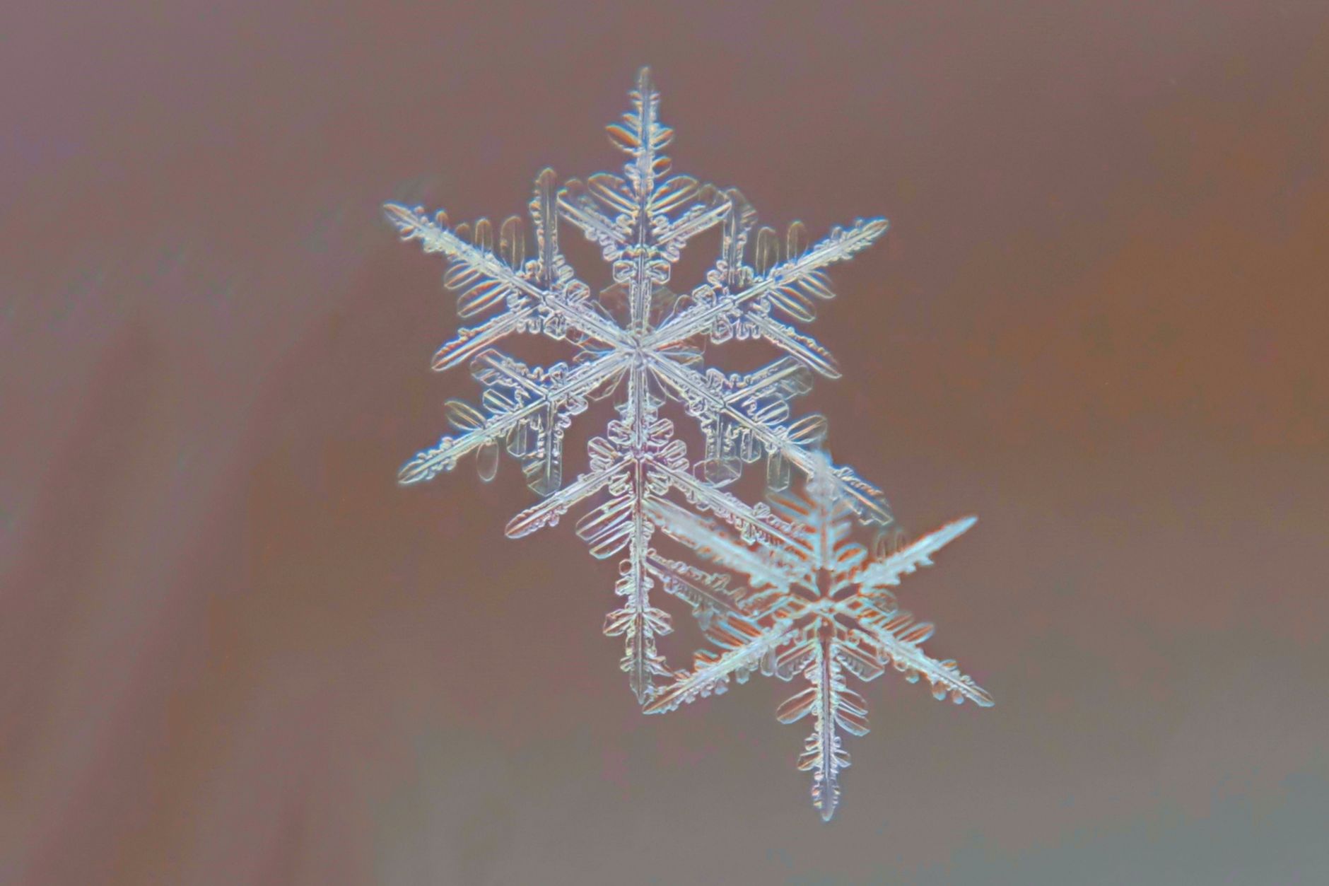snowflake data cloud
