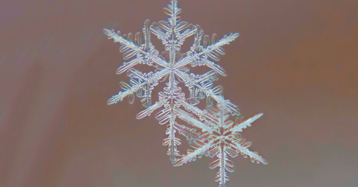 Macro shot of intricate snowflakes showcasing winter beauty in Lapeer, Michigan.