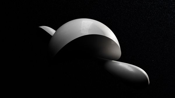 Sleek 3D abstract form with smooth curves on a dark backdrop — photo by Steve A Johnson on Pexels