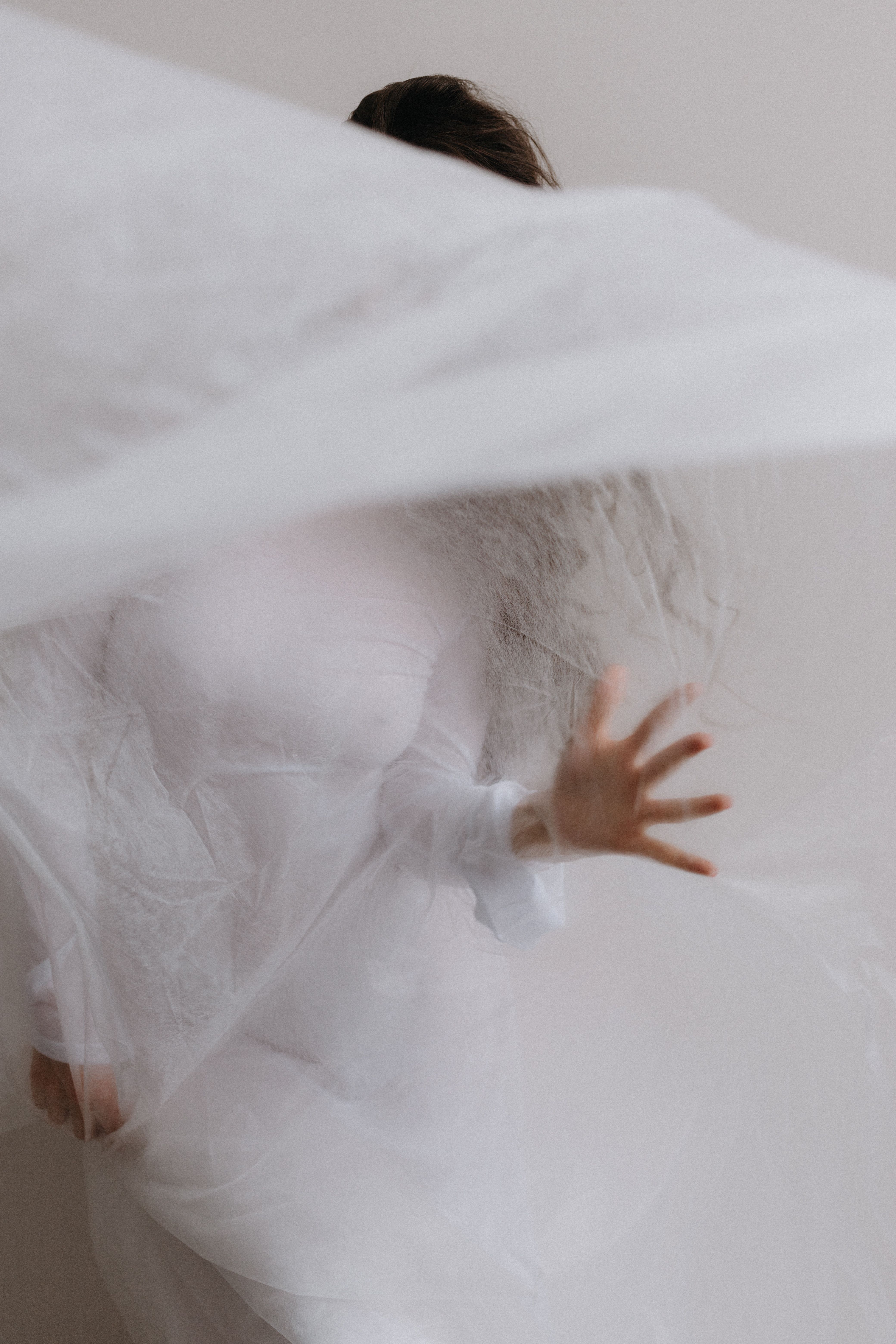 Translucent Photos, Download The BEST Free Translucent Stock Photos ...