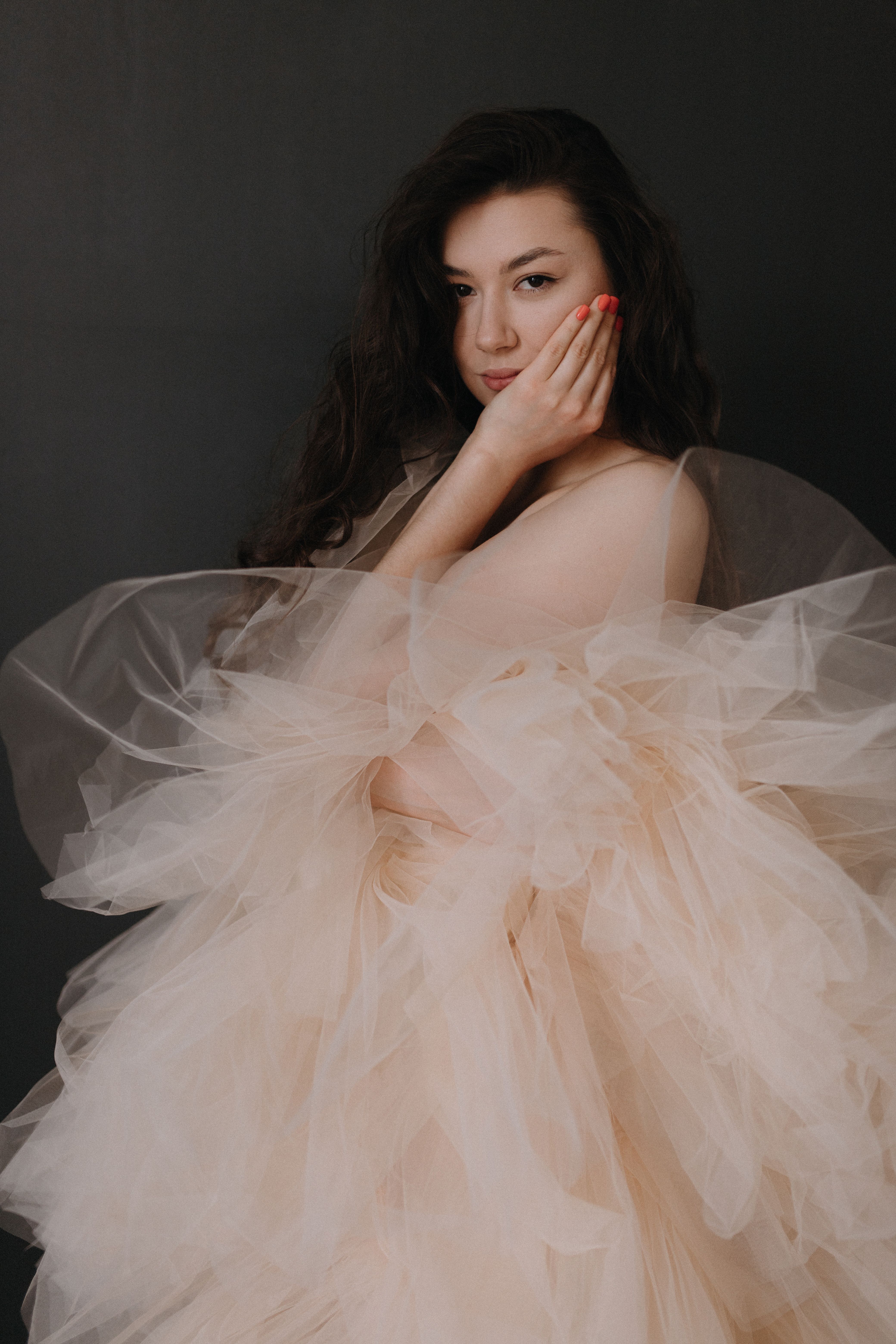 Beige Tulle Dress Photos, Download The BEST Free Beige Tulle Dress Stock  Photos & HD Images