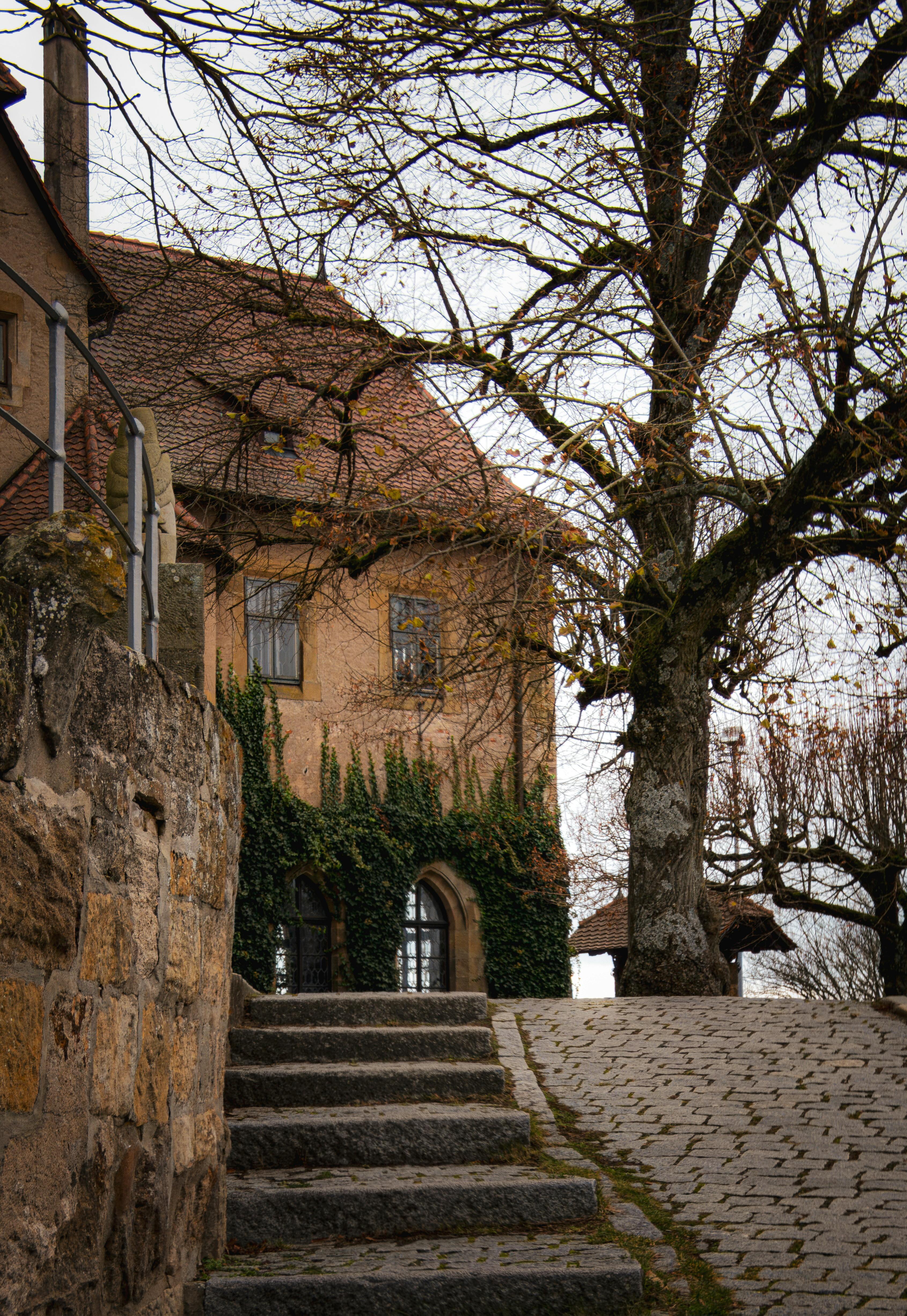 cobblestone path leading to historic building