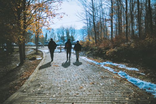Three people walk on a leafy autumn forest path, with dappled sunlight and fallen leaves.