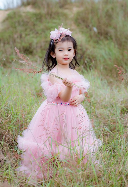 Free A young girl in a pink dress holding a stem of grass in a grassy field. Stock Photo