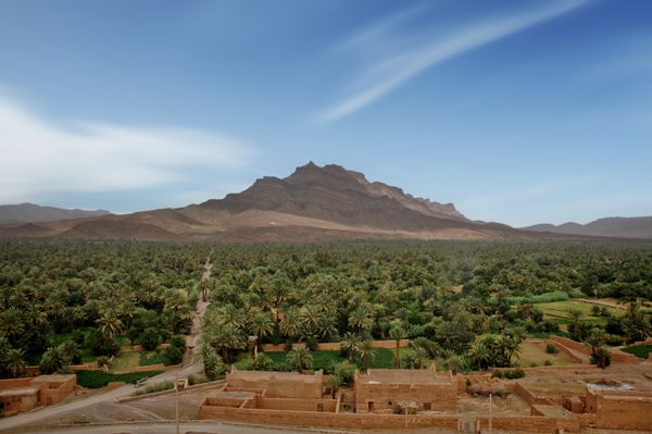 Fint oasis green vegetation Morocco