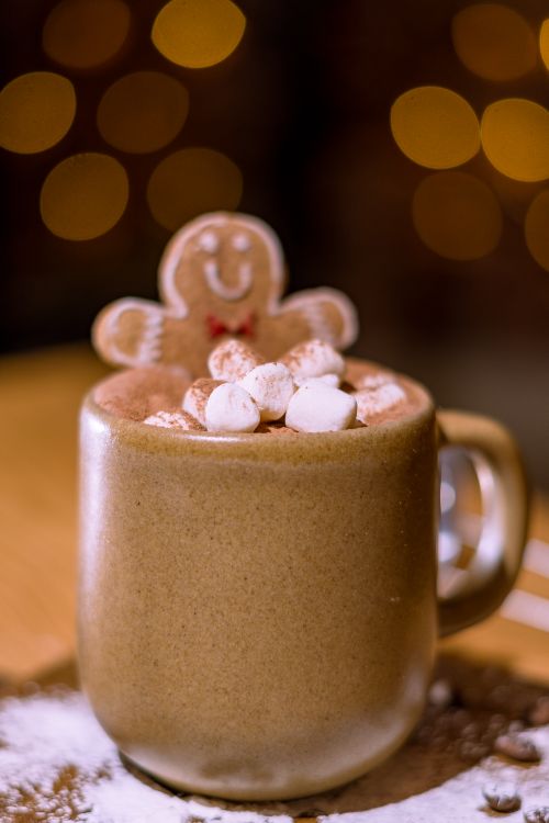 Free Warm mug of hot chocolate topped with marshmallows and gingerbread in a festive setting. Stock Photo