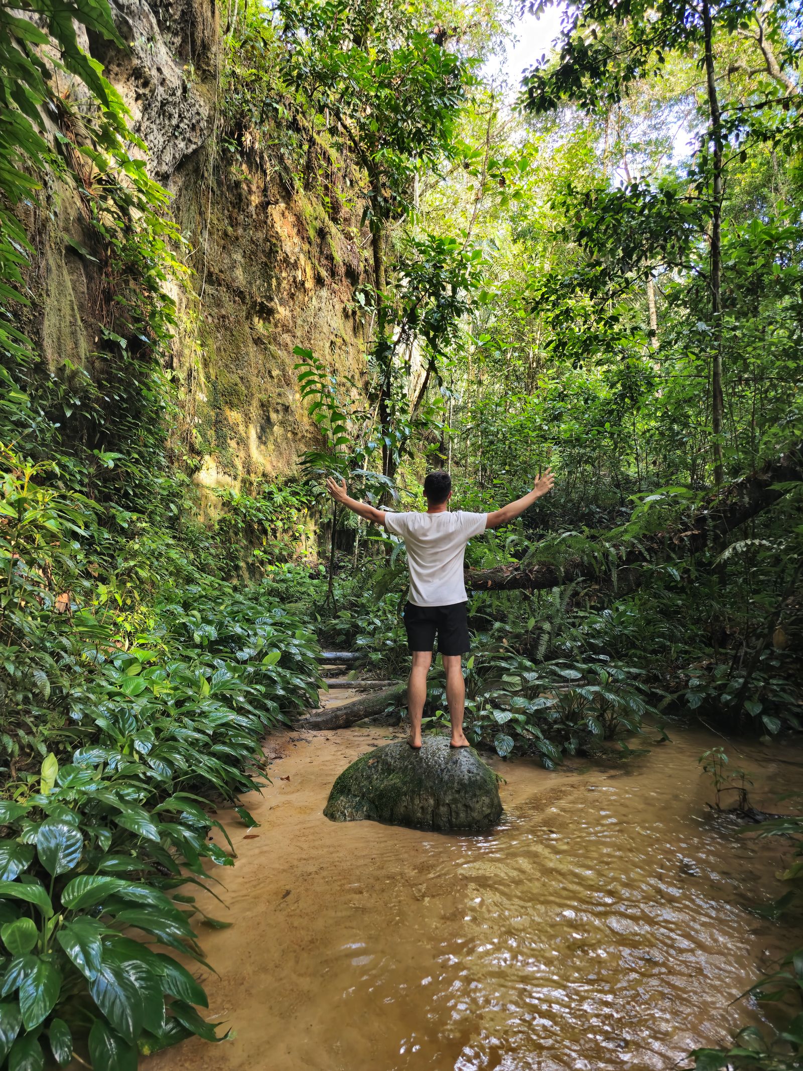 Viajeros caminando por la selva hacia los acantilados de la isla de 'Eua.
