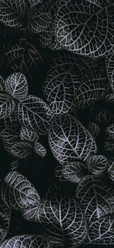 Close-up of dark leaves showcasing detailed vein patterns, creating a moody aesthetic.