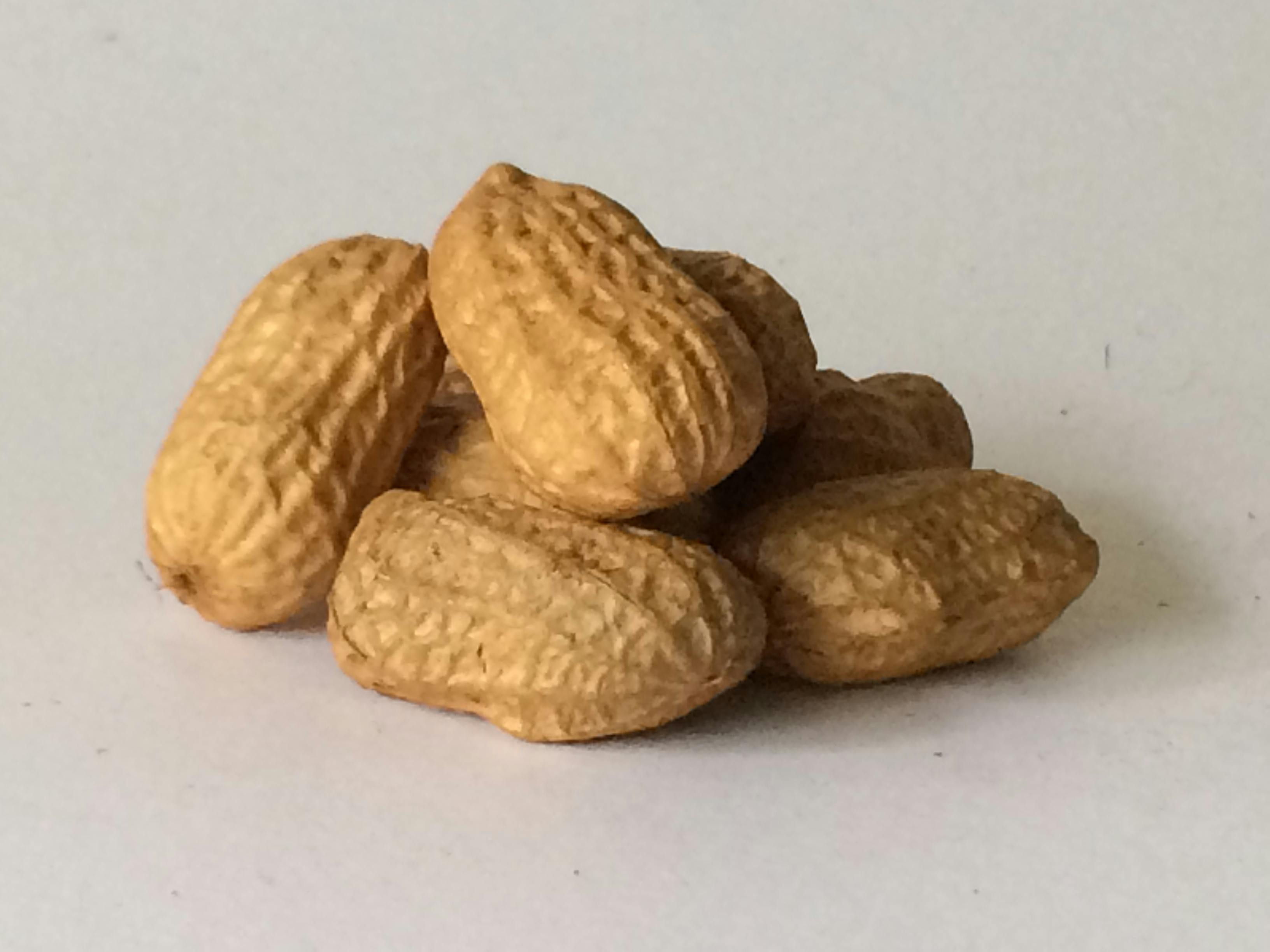 Free stock photo of peanuts