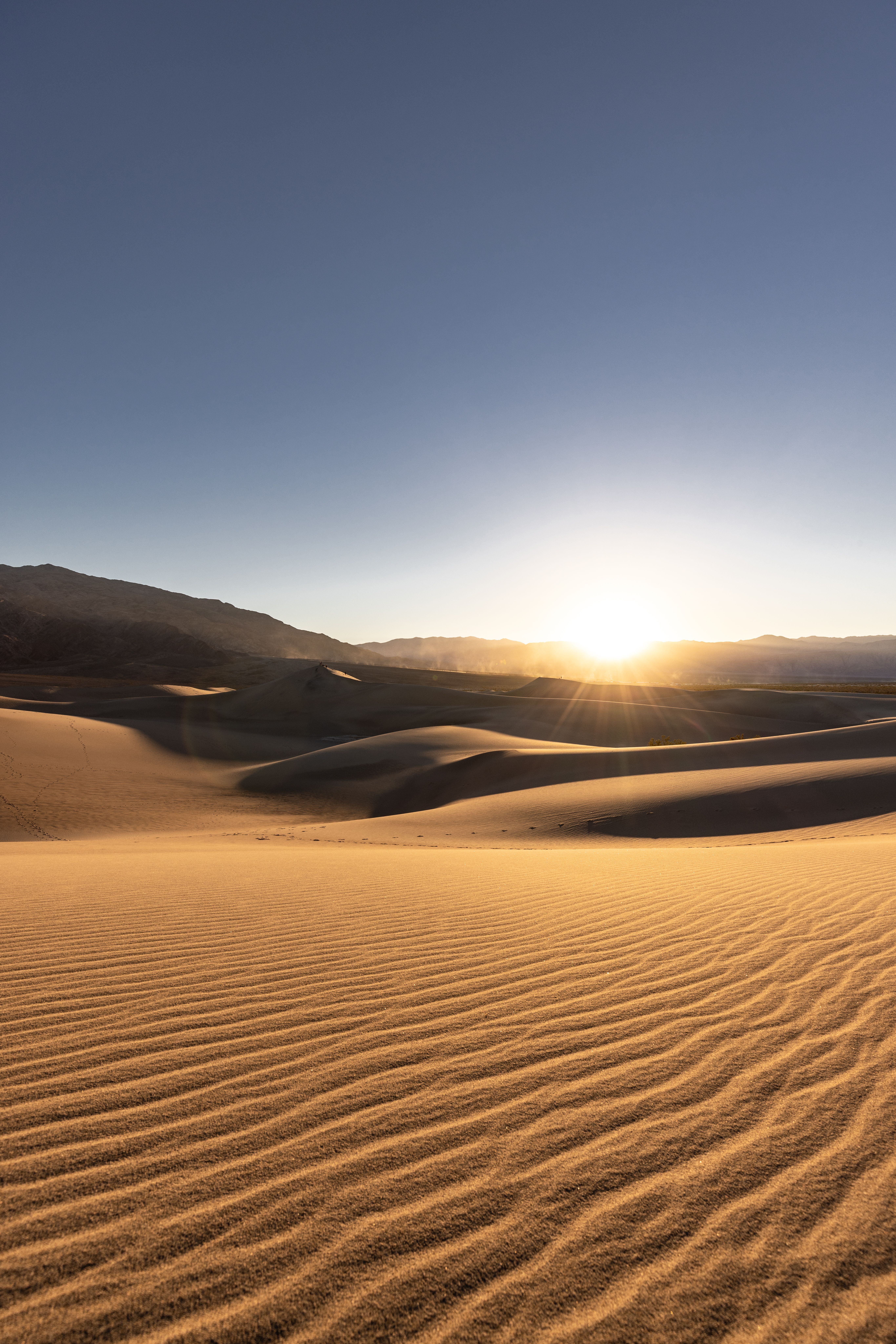 Fotomural La luz dorada del sol se proyecta sobre las dunas de arena onduladas en el majestuoso desierto de California durante la puesta de sol.