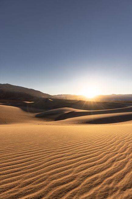 Fotomural La luz dorada del sol se proyecta sobre las dunas de arena onduladas en el majestuoso desierto de California durante la puesta de sol.