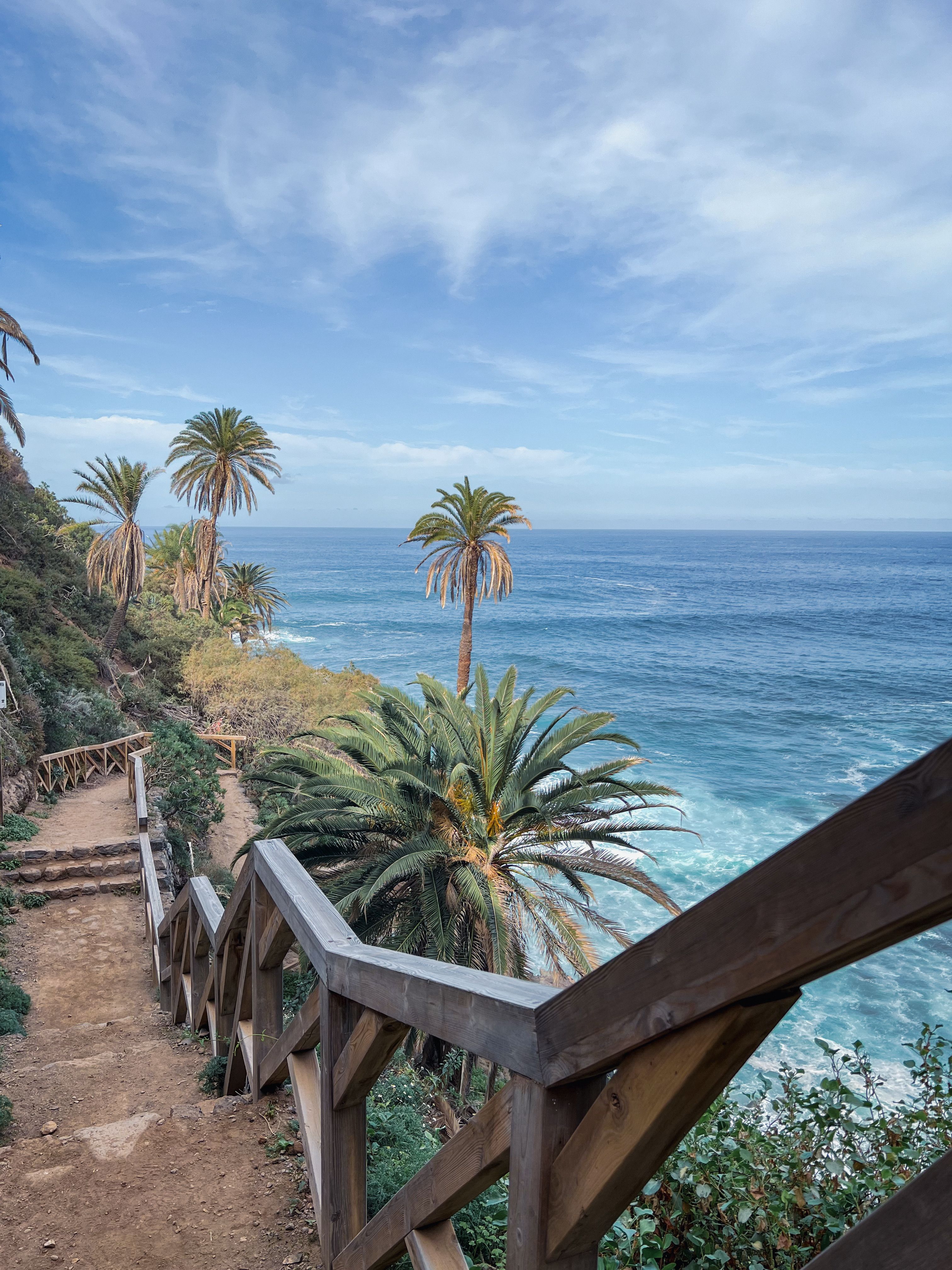 Scenic Tropical Beach Pathway with Ocean View · Free Stock Photo