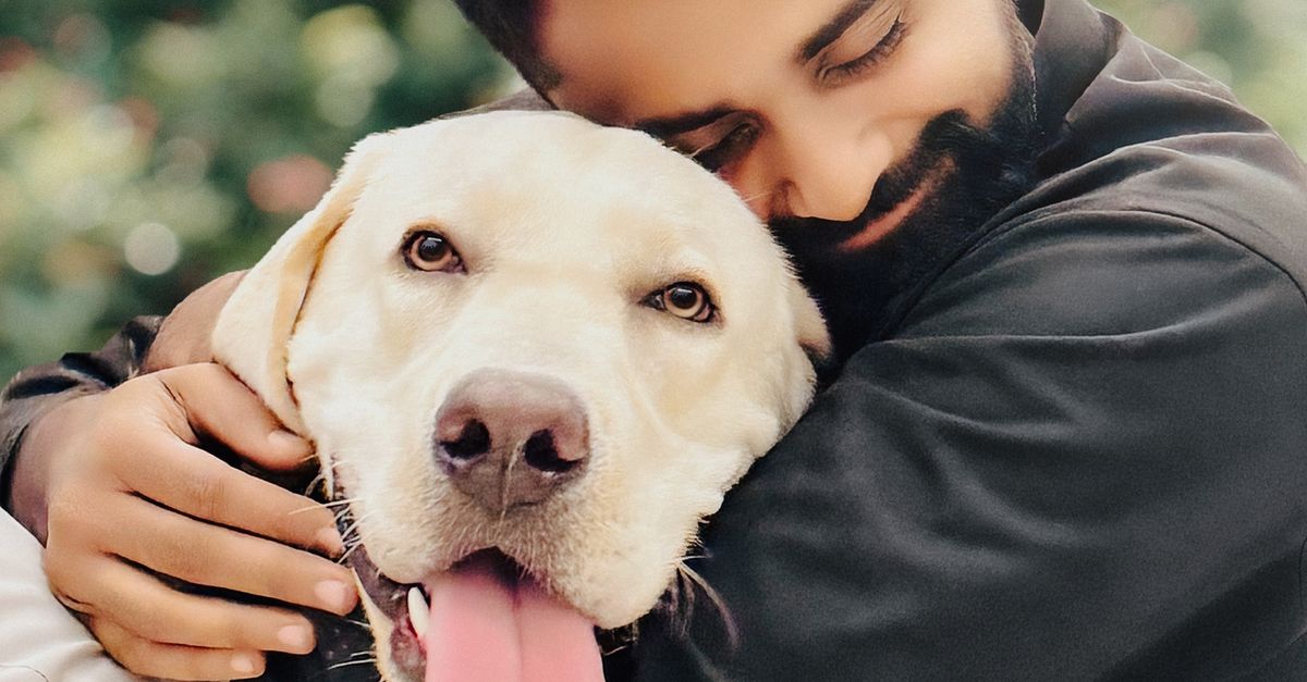 Labrador Human Man Embracing Labrador Retriever Outdoors · Free Stock Photo