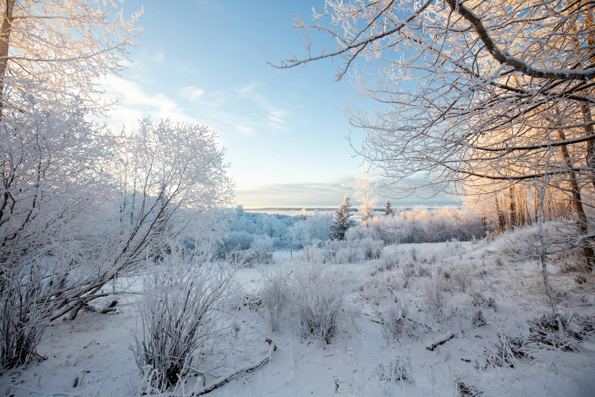 Alaska Landscape