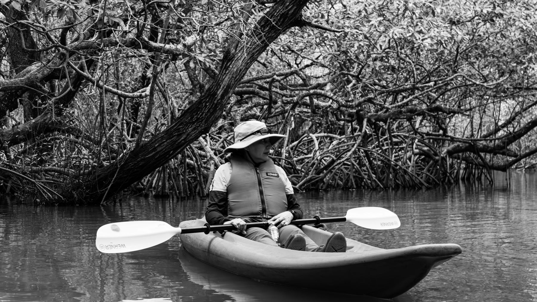 Person kayaking through the picturesque mangroves of Jalcomulco, Veracruz.