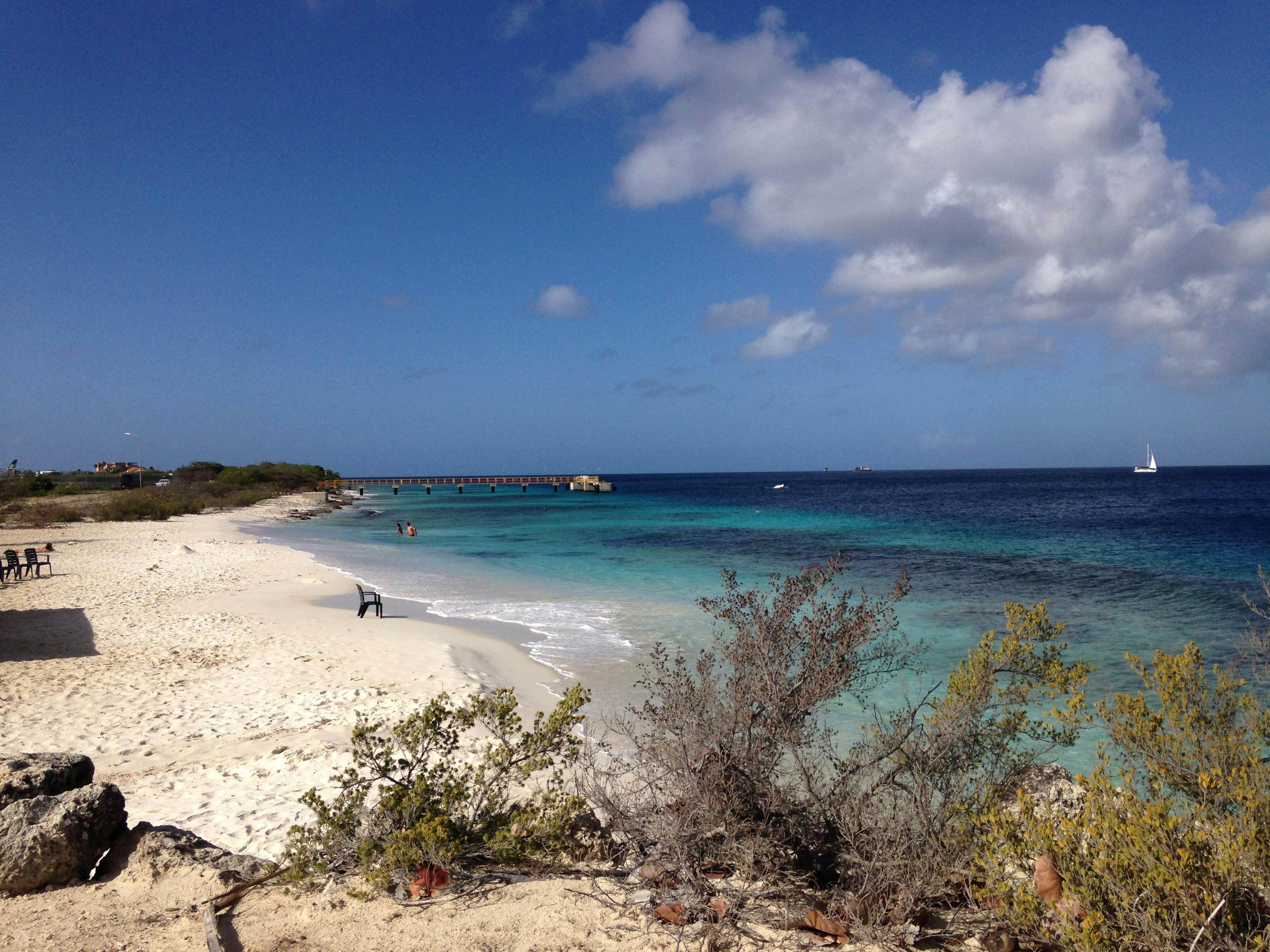 Free stock photo of Bonaire