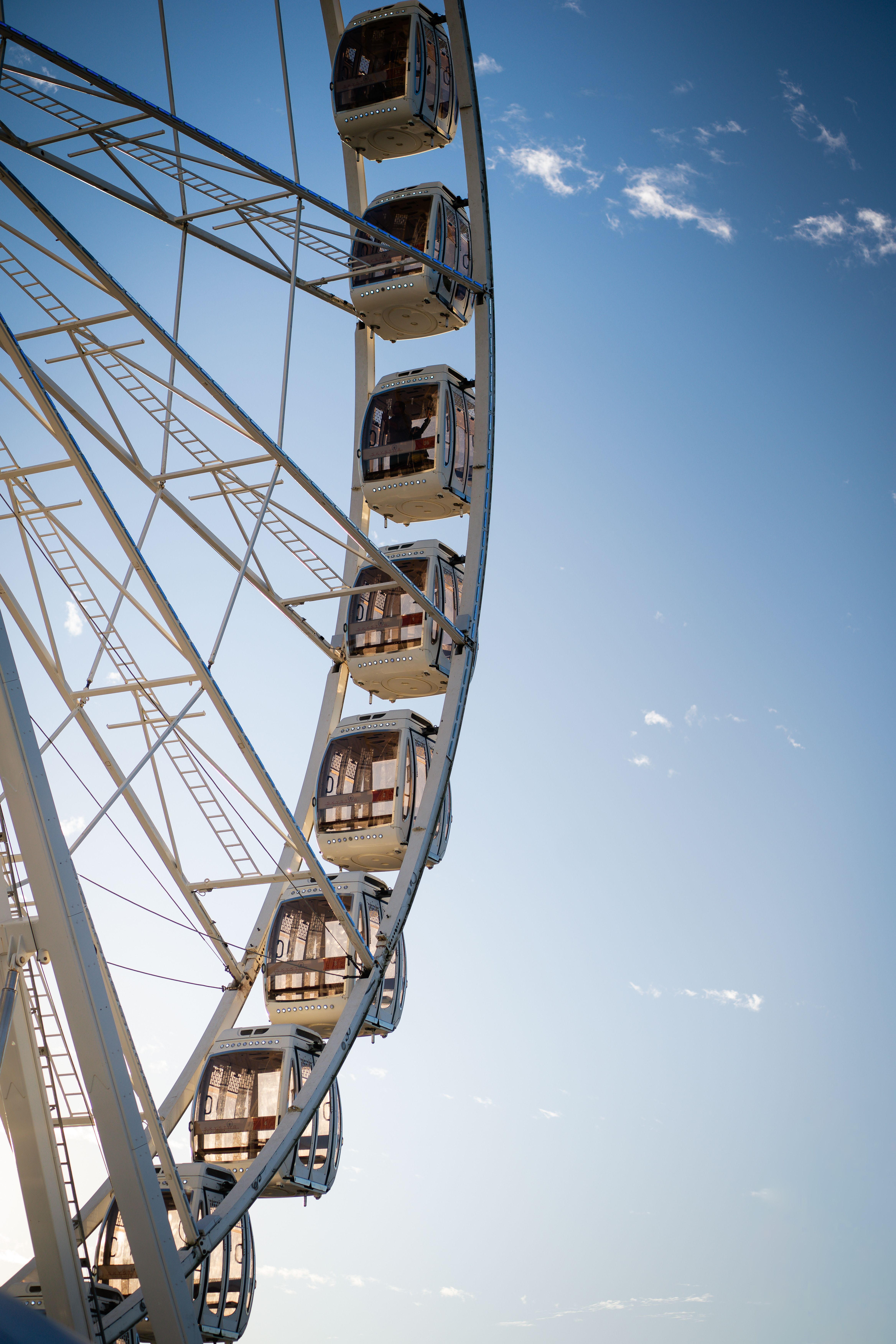 Ferris wheel with passenger cabins in amusement park · Free Stock Photo