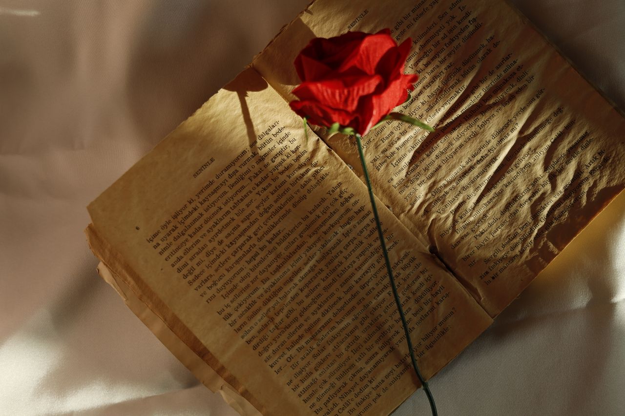 a vintage open book with a red rose on a soft beige fabric background