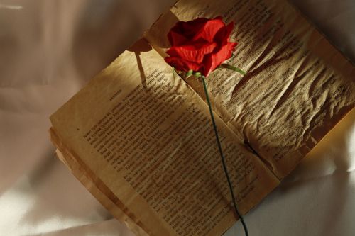 Free A vintage open book with a red rose on a soft beige fabric background. Stock Photo