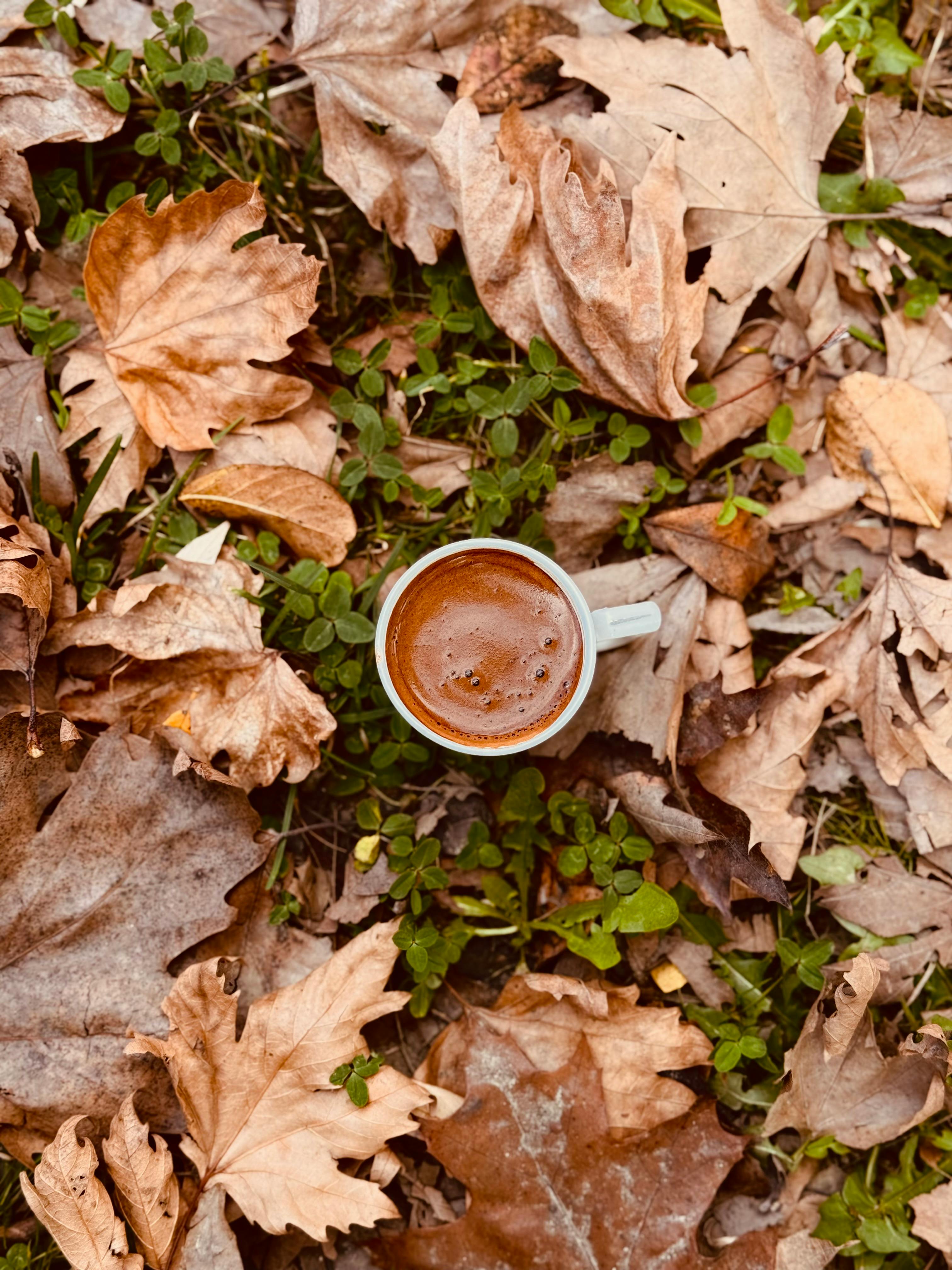 A cup of coffee nestled among autumn leaves in Kocaeli, Türkiye, capturing the essence of fall outdoors.
