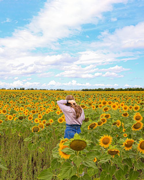 Photo Of Woman Standing In Sunflower Field