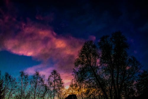 Free stock photo of sky, sunrise, trees