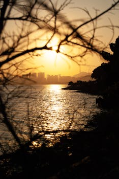Beautiful sunset view over Shenzhen coastline with silhouettes and shimmering water.