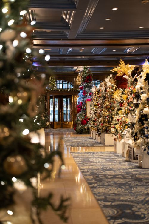 Free Elegant Christmas trees and festive decorations in a grand hotel lobby in Québec, Canada. Stock Photo