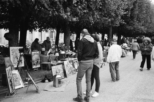 Free Explore a classic flea market in Nancy, France, featuring diverse stalls under leafy trees. Stock Photo