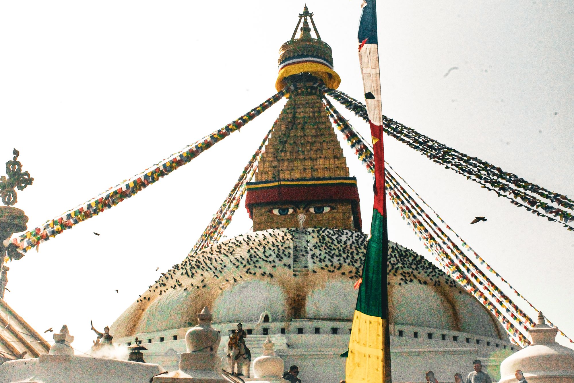 Nepal Himalayan Tour Packages Gallery 2
