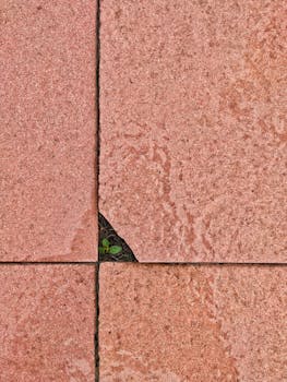 特写镜头中，破裂的瓷砖缝隙里，一株小植物正在发芽，凸显了生命的韧性与生长