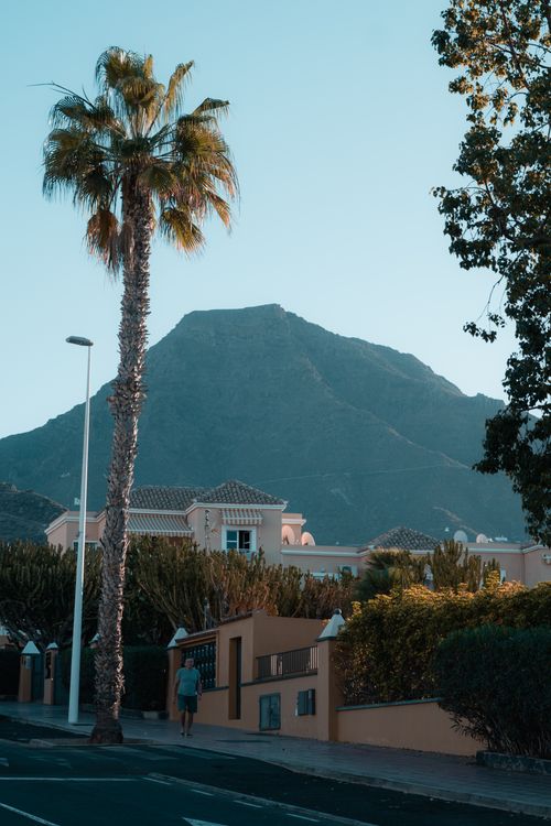 Free A stunning view of a tall palm tree against a mountainous backdrop in the Canary Islands, Spain. Stock Photo