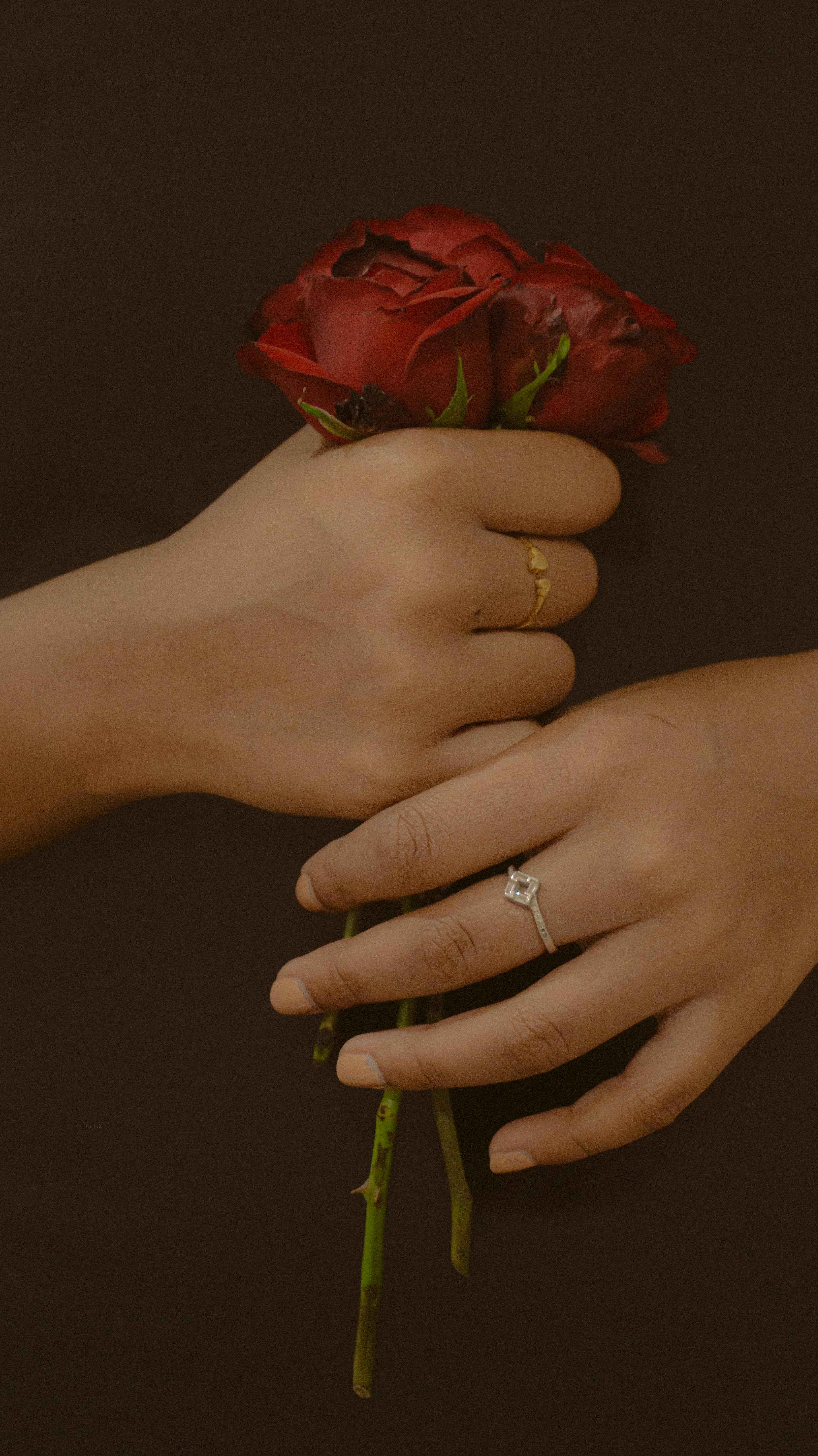 Close-up of hands holding red roses and showcasing engagement rings, symbolizing romance and commitment.