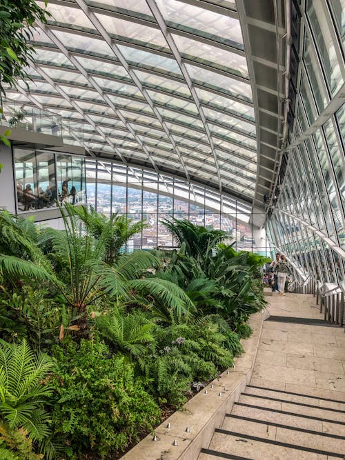 Free stock photo of big ben, botanic garden, botanical garden