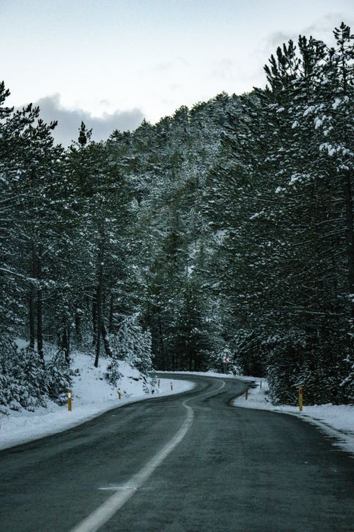 Free A winding road through a snow-covered pine forest in Türkiye, capturing the serene beauty of winter. Stock Photo
