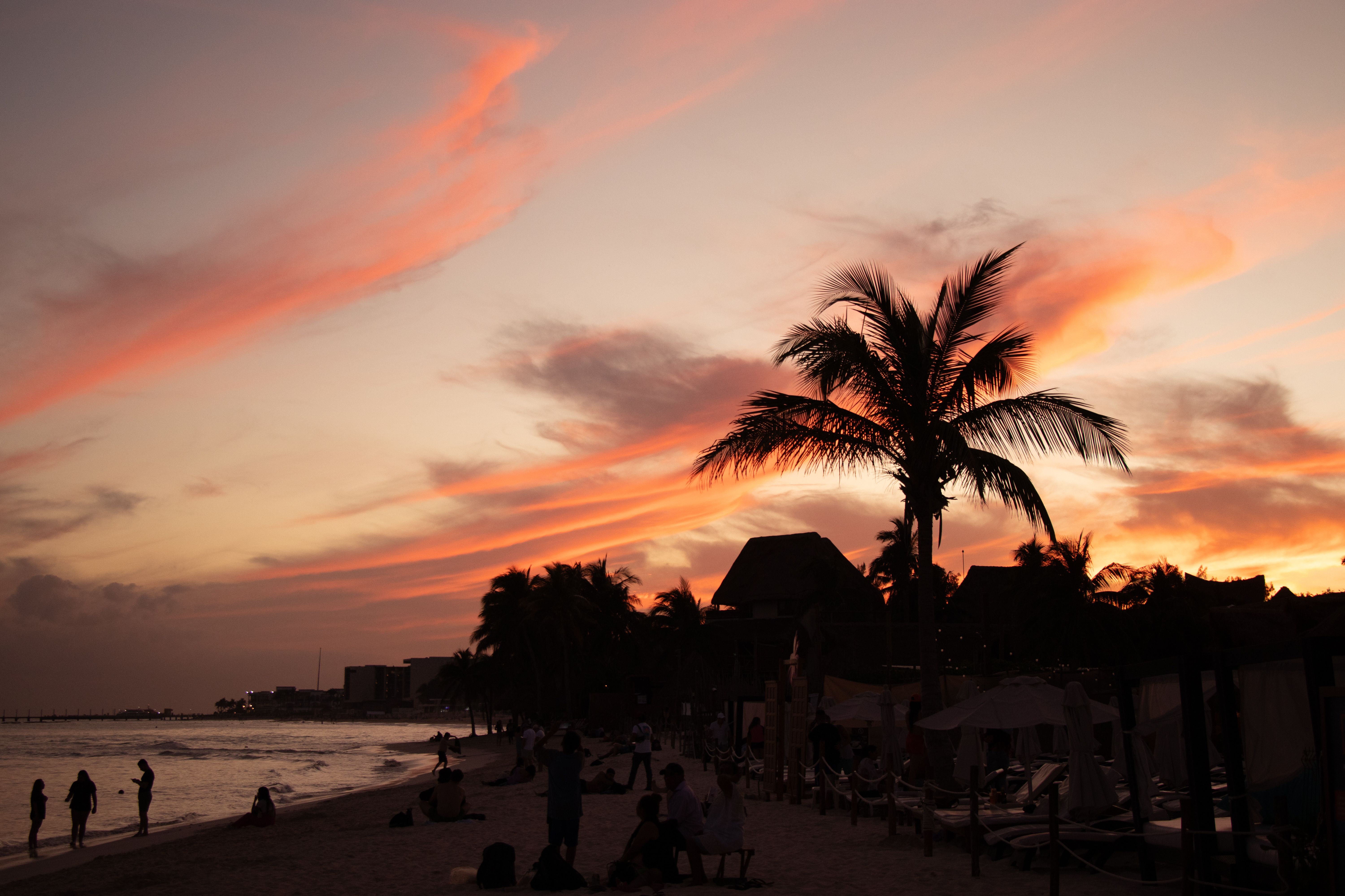Stunning Sunset Beach with Palm Trees Silhouette · Free Stock Photo