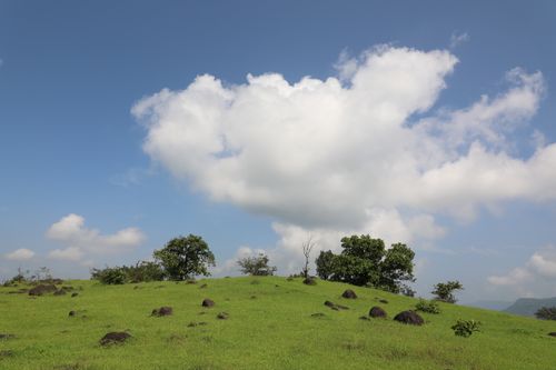 Free A serene landscape of a grassy hill beneath a blue sky with fluffy white clouds. Stock Photo