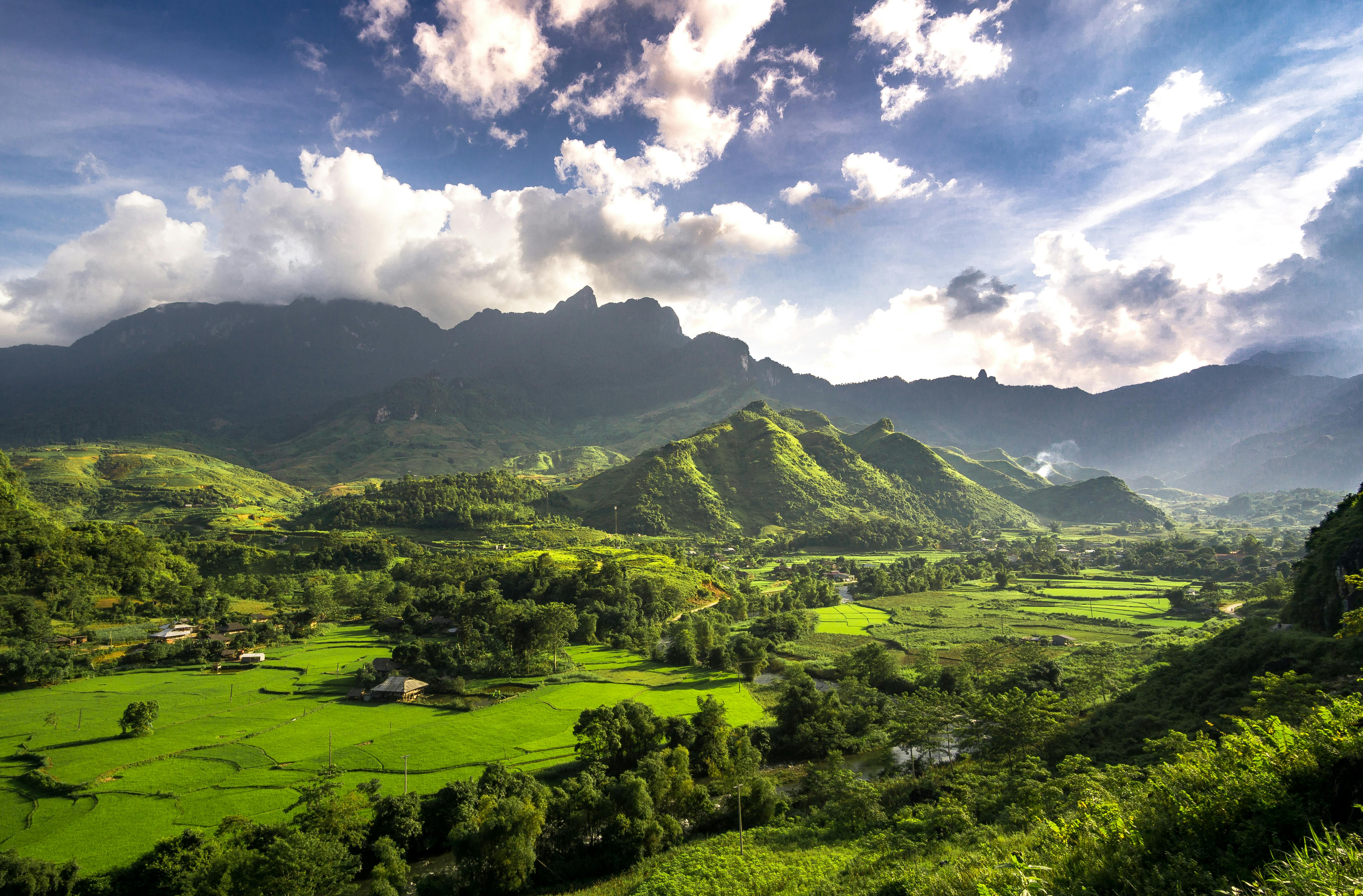 Núi rừng tây bắc | Rừng, Phong cảnh, Ảnh rừng