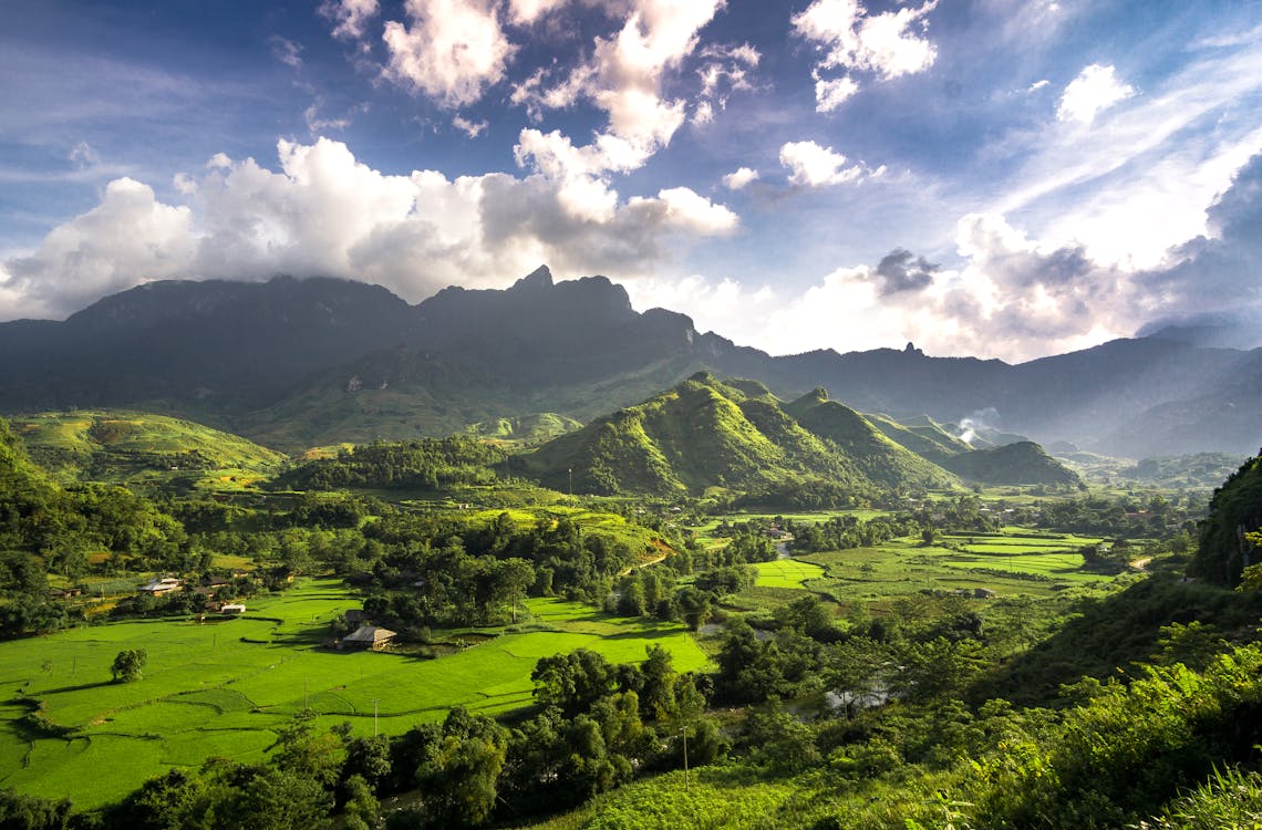 Campo Verde Y árboles Bajo El Cielo Nublado