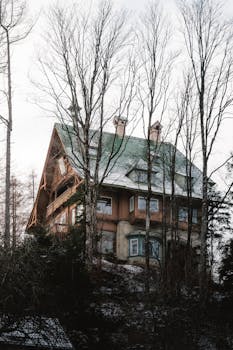 Scenic winter view of a rustic cabin surrounded by a serene forest in Styria, Austria.