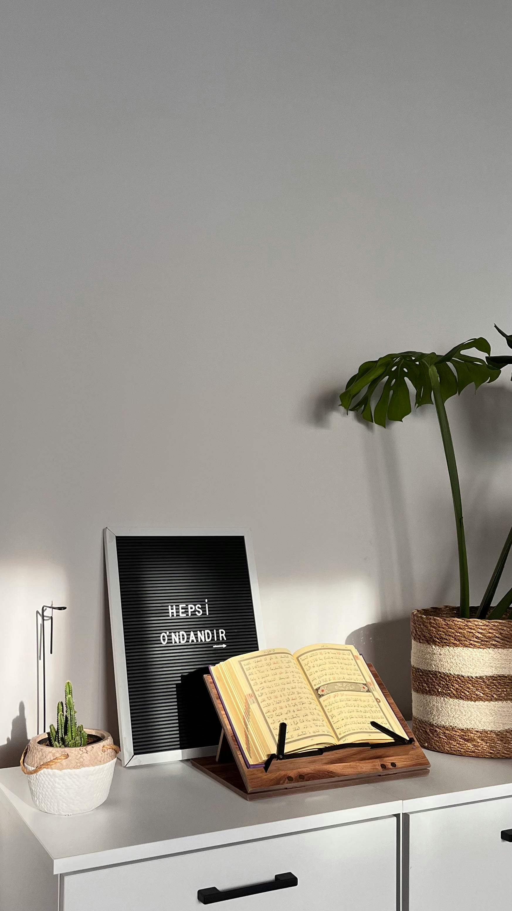 A cozy home interior featuring books, plants, and decor items with natural light.