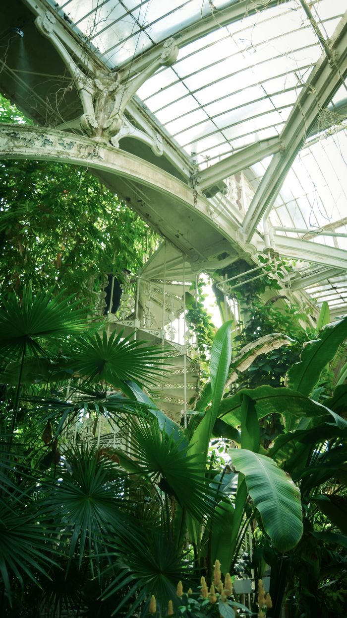 Botanical conservatory interior