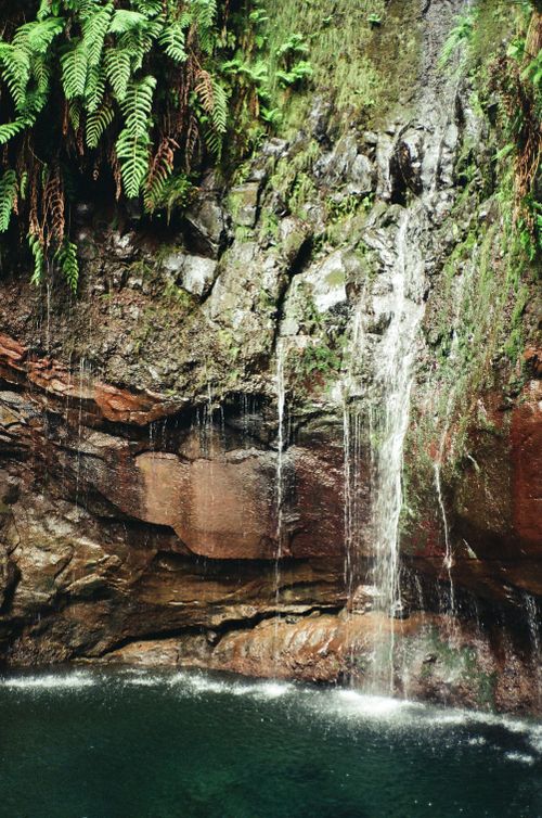 Free Discover the tranquil beauty of a waterfall amidst lush greenery in Madeira, Portugal. Stock Photo
