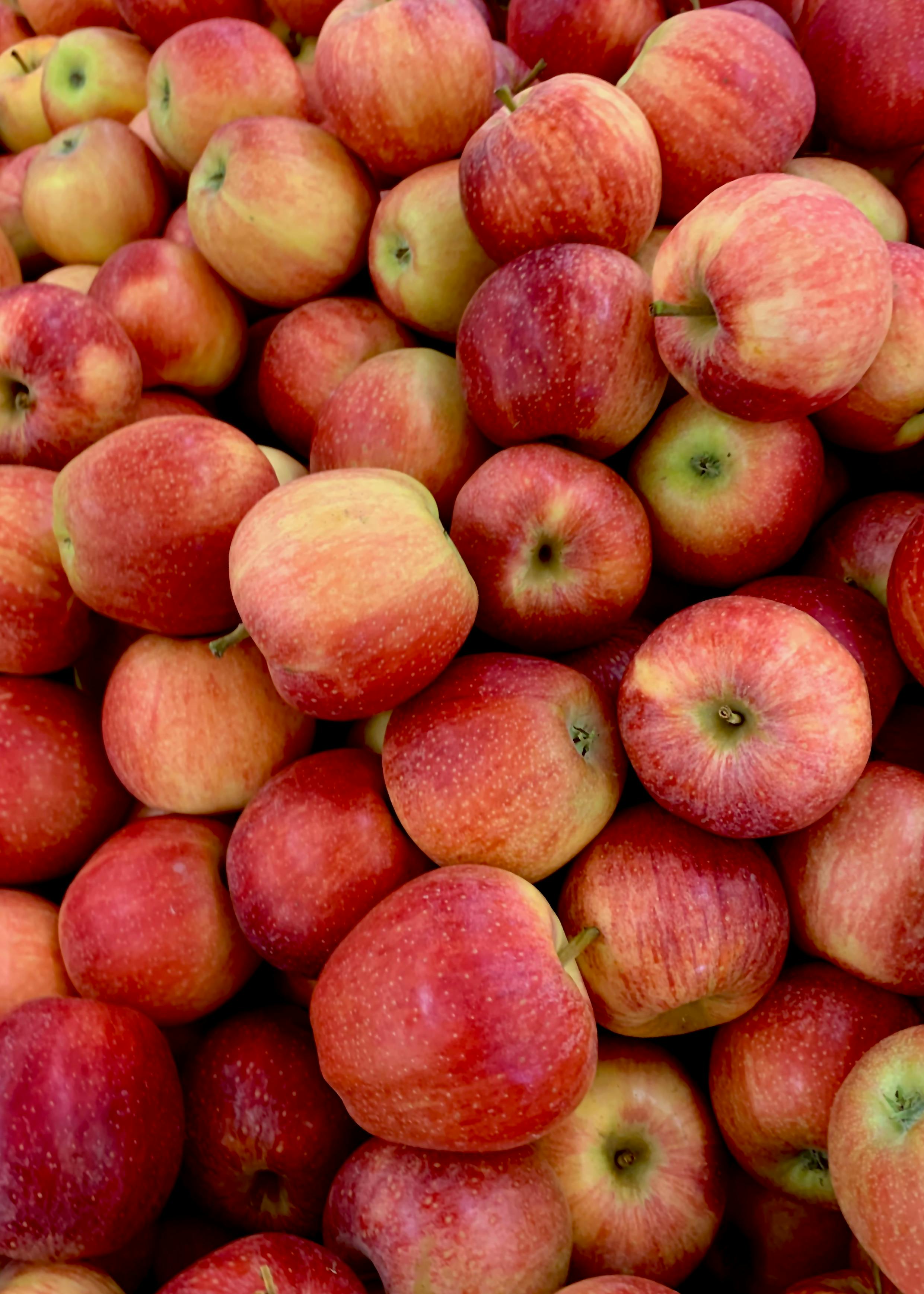 pile of red apples