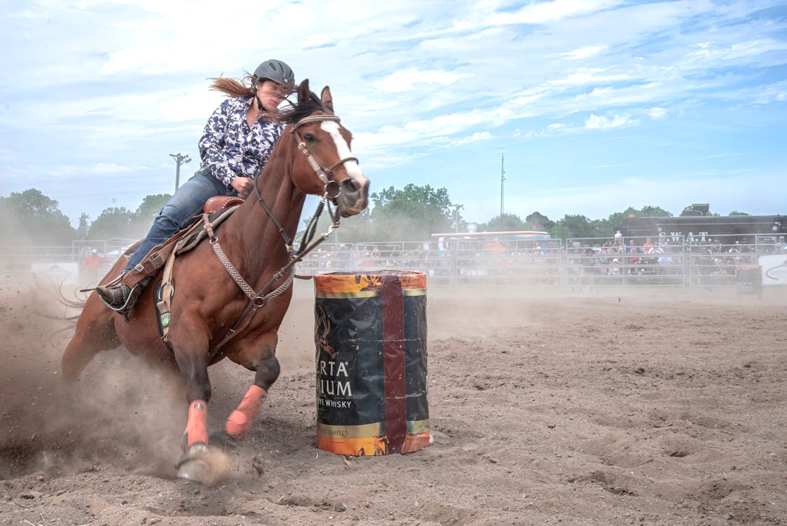 Barrel Racing Action Shot at Outdoor Rodeo · Free Stock Photo